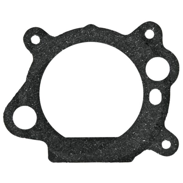 Oro filtro tarpinė BRIGGS & STRATTON 795629