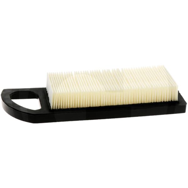 Oro filtras Briggs & Stratton (ilgas)