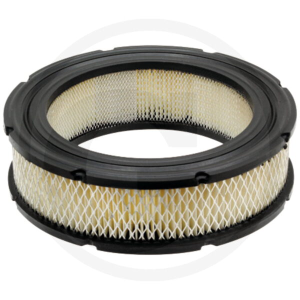 Oro filtras Briggs & Stratton