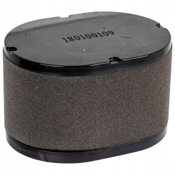 Oro filtras LONCIN 180100109-0001