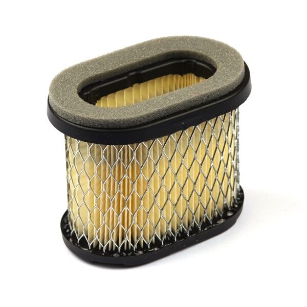 Oro filtras BRIGGS STRATTON