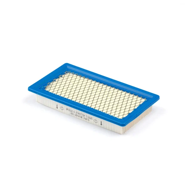 Oro filtras Briggs & Stratton 710265