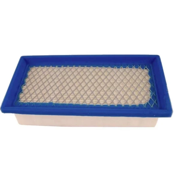 Oro filtras Briggs & Stratton 494511